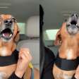 Curtindo a sofrência? Cachorrinho 'canta' Evidências ao lado da tutora e diverte a web