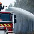 Florestas de monocultura agravam incêndios na Europa