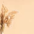 Flores secas na decoração: 5 cuidados essenciais para manter os arranjos bonitos por mais tempo