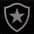 Juiz autoriza processamento da recuperação judicial da SAF Botafogo