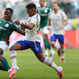 Palmeiras x Fortaleza é marcado por confusão fora dos gramados