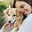 Como lidar com a perda de um cachorro: dicas para enfrentar o luto