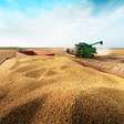 Grupo do agro aprova recuperação judicial com deságio de 85%
