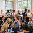 Pets na escola: como os animais podem contribuir para a aprendizagem