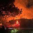 Incêndios na Itália consumiram 70 mil hectares neste verão, diz WWF