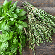 5 plantas aromáticas para cultivar em casa e aproveitar os seus benefícios para a saúde