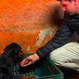Deputado Rafael Saraiva resgata 21 cães abandonados em antigo canil clandestino