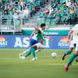 Palmeiras é prejudicado pela arbitragem