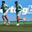 Barboza treina e pode reforçar o Palmeiras contra o Internacional