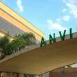 Anvisa determina apreensão de seis tipos de sal no país