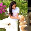 Meghan Markle e Príncipe Harry salvaram cachorra de criadouro ilegal; veja história