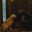 O cachorro sobrevive em 'A Última Casa', filme com Wagner Moura?
