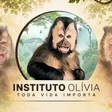 Olívia, a macaca que mudou a vida de bióloga inspira criação de santuário para animais silvestres
