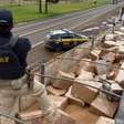 PRF apreende mais de 3,5 toneladas de maconha escondidas em carga de trigo na BR-277