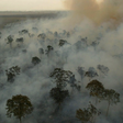 Mitigação e adaptação: duas estratégias distintas porém complementares para lidar com as mudanças climáticas
