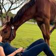 A luta de Carol e Phuket: uma vaquinha pela vida do cavalo