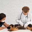 Você tem algum deles? 9 raças de cães que pedem atenção redobrada com a saúde