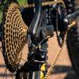 Shimano Fest 2026 no "boom" do mercado de bikes