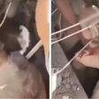 Mãe e bebê são encontrados vivos sob escombros após terremoto na Colômbia