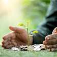 Simpatias fáceis para prosperidade e novos começos na Lua Nova