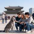 "Os cães são como parte da família agora": Coreia do Sul vai proibir o abate e a venda de carne de cachorro a partir de 2027