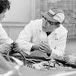 Soichiro Honda, fundador da Honda: "O sucesso representa 1% do seu trabalho e o resultado dos outros 99% que chamamos de fracasso"