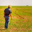 Como Tania Zanella Lidera Plano Para Criar Um "Farm Bill Brasileiro"
