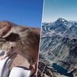 Acabamos de encontrar um mamífero em um lugar impossível: nos Andes, a uma altitude de quase 7.000 metros