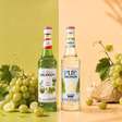 Uva verde vira tendência nos drinks com lançamentos da MONIN