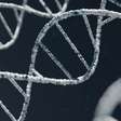 Modelo computacional prevê risco de mortalidade com base em genes