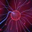 Biofótons: a ciência explica a luz que existe em suas células