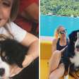 Angélica se emociona com a morte de cachorro da família: 'Nosso grandão vai fazer muita falta'