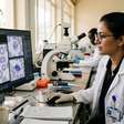 Malária: cientistas buscam vacina de maior eficácia e fazem testes em camundongos