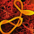 A epidemia de Ebola mais rápida da história avança tão agressivamente que nem a ciência consegue ter tempo de detê-la