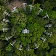 Com torres e anéis metálicos gigantes, experimento tenta descobrir como a Amazônia vai reagir ao aumento de CO