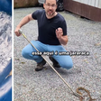 Cobra mais perigosa do Brasil é encontrada em região residencial de SC e capturada por biólogo