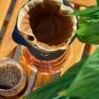 Borra de café nas plantas pode ser uma boa ideia, mas não do jeito que você imagina