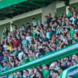 Torcedor vestido de noiva rouba a cena em jogo da Chapecoense