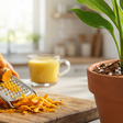 Cúrcuma: Veja como cultivar e os benefícios à saúde
