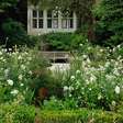 5 hábitos simples para manter o jardim bonito e saudável