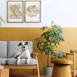 6 truques para fazer uma casa antiga parecer mais moderna