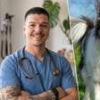 Veterinário afirma: "Não recomendo ter um Border Collie em casa com crianças, pois é um cão de trabalho e, se suas necessidades não forem atendidas, ele pode ficar estressado"