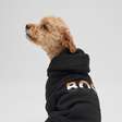 Marcas de luxo lançam roupas elegantes para cães