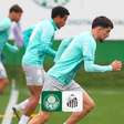 Palmeiras x Santos: Onde Assistir ao Vivo e Neymar Vai Jogar?