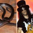 Nova serpente descoberta na Nova Guiné recebe nome em homenagem a Slash, histórico guitarrista do Guns N' Roses