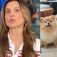 Flávia Alessandra comove ao refletir sobre 'escolha corajosa' envolvendo cachorros