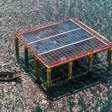 Inovação na China: o primeiro parque solar flutuante do mundo feito de bambu estreia em alto-mar para gerar energia limpa