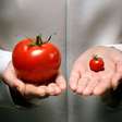 O composto do tomate que surpreendeu contra a gordura no fígado