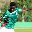 Quem é o africano que encanta Abel Ferreira e pode substituir Allan Elias no Palmeiras? Veja
