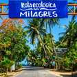 Paraíso alagoano abriga praia entre as 100 melhores do mundo; conheça a Rota dos Milagres